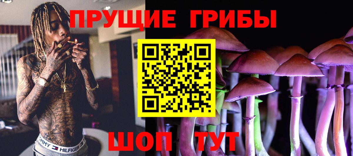 Галлюциногенные грибы Psilocybe  Вход с VPN  Новочеркасск 